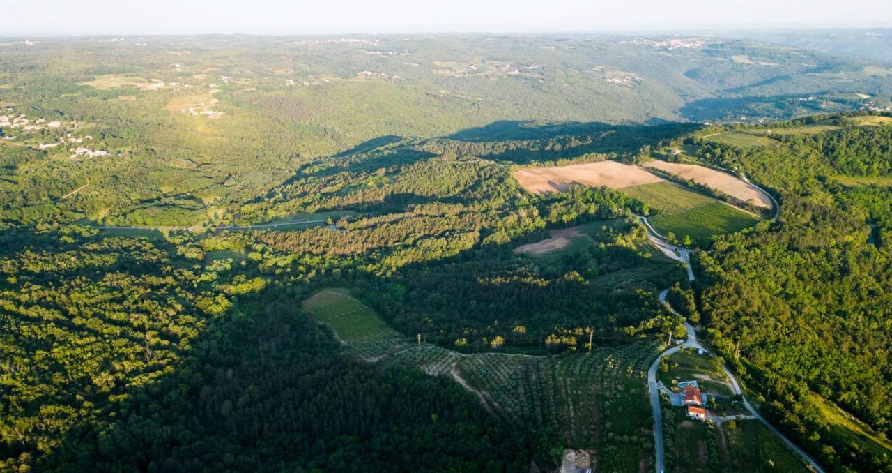 Villa Meloni Motovun Eksteriør bilde