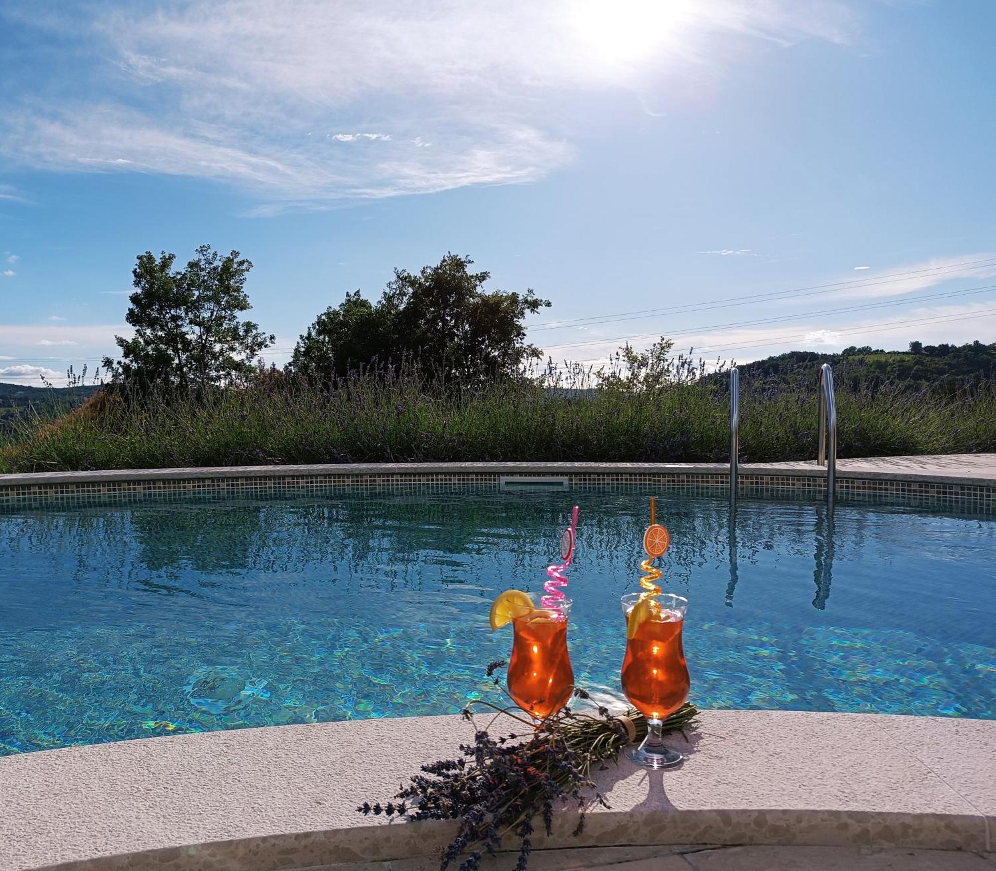 Villa Meloni Motovun Eksteriør bilde